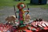 2011-09-24_14_Int_Jagdturnier_und_LM_Bludenz_203.JPG