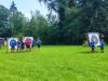 Klicken zum ansehen img_20240727_150959_t1.jpg