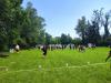 Klicken zum ansehen img_20240727_151922_t1.jpg