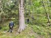 Klicken zum ansehen img_20240922_102519_t1.jpg