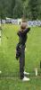 sommercup_bludenz_teil3_2026_0_t1_5.jpeg