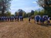 Klicken zum ansehen img_20260816_100453_t1.jpg