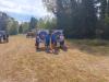 Klicken zum ansehen img_20260816_113619_t1.jpg