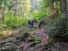 Klicken zum ansehen img_20260912_104405_t1.jpg