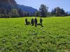 Klicken zum ansehen img_20260912_110131_t1.jpg