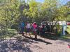 Klicken zum ansehen img_20260912_114128_t1.jpg