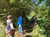Klicken zum ansehen img_20260912_120906_t1.jpg