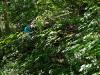 Klicken zum ansehen img_20260912_123833_t1.jpg