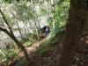 Klicken zum ansehen img_20260912_124044_t1.jpg