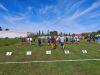 Klicken zum ansehen img_20260919_143213_t1.jpg