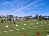 Klicken zum ansehen img_20260919_143214_t1.jpg