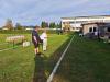 Klicken zum ansehen img_20260919_174055_t1.jpg